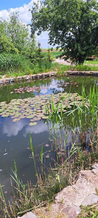 Domek U Rybnika Schloss Bosig Exteriör bild